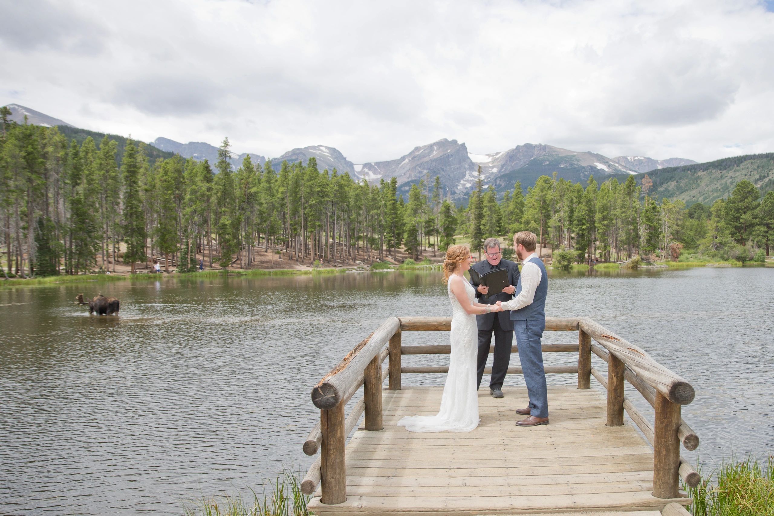 Marriage License Details Marry Me In Colorado Ceremony